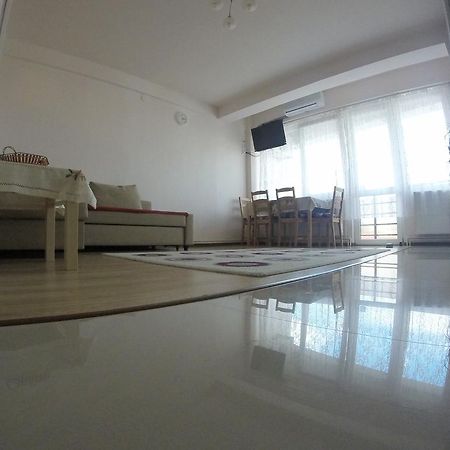 Friendly Central Apartment Sibiu מראה חיצוני תמונה