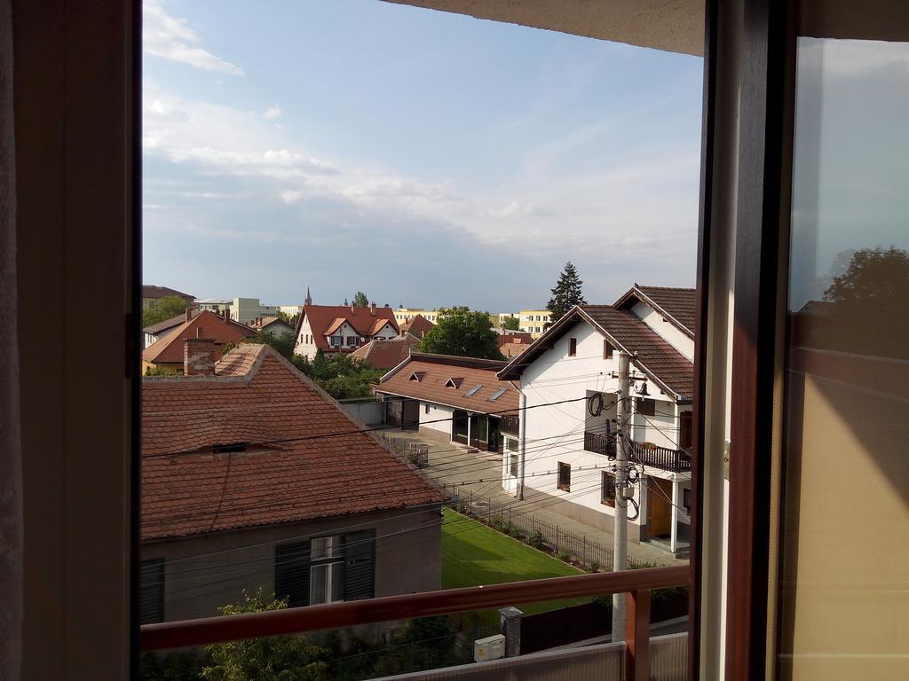 Friendly Central Apartment Sibiu חדר תמונה