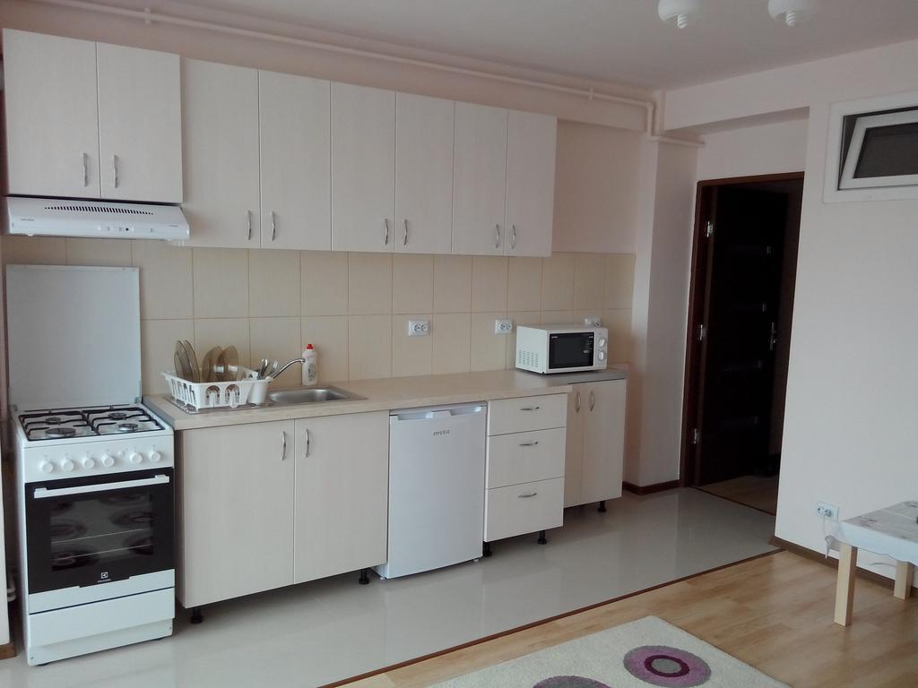 Friendly Central Apartment Sibiu חדר תמונה