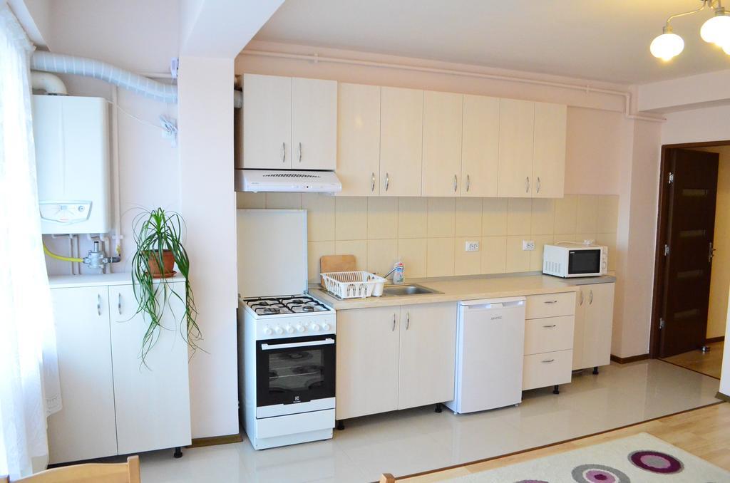 Friendly Central Apartment Sibiu מראה חיצוני תמונה