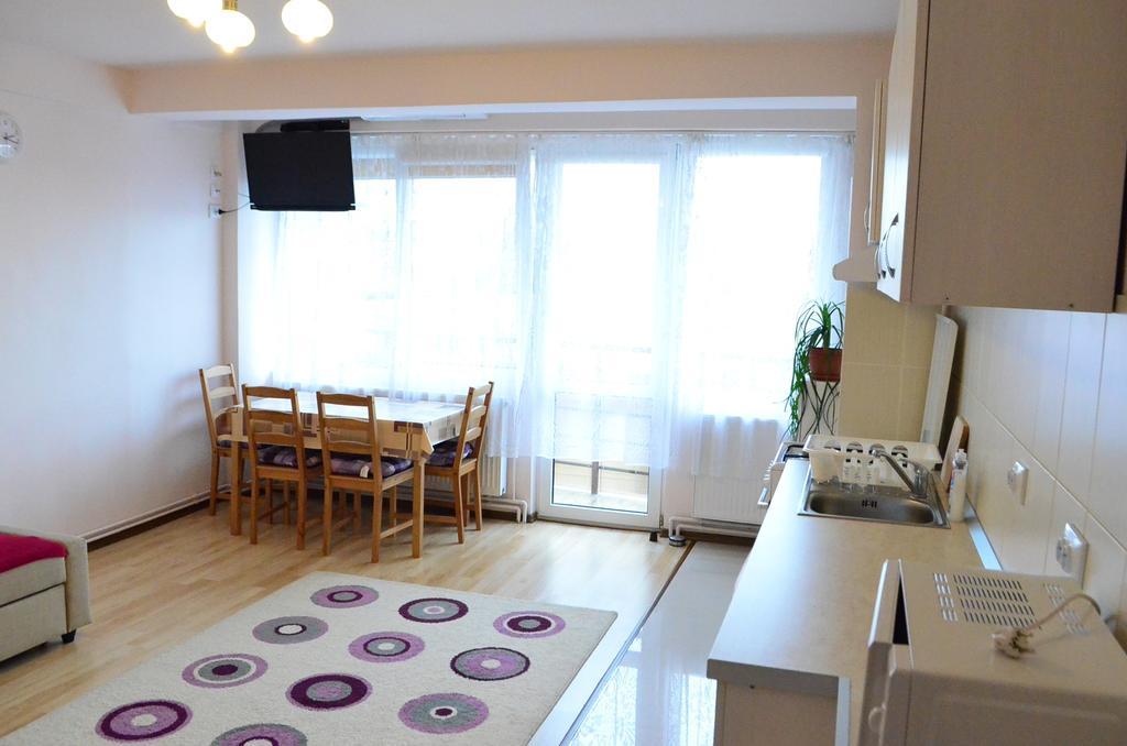 Friendly Central Apartment Sibiu מראה חיצוני תמונה