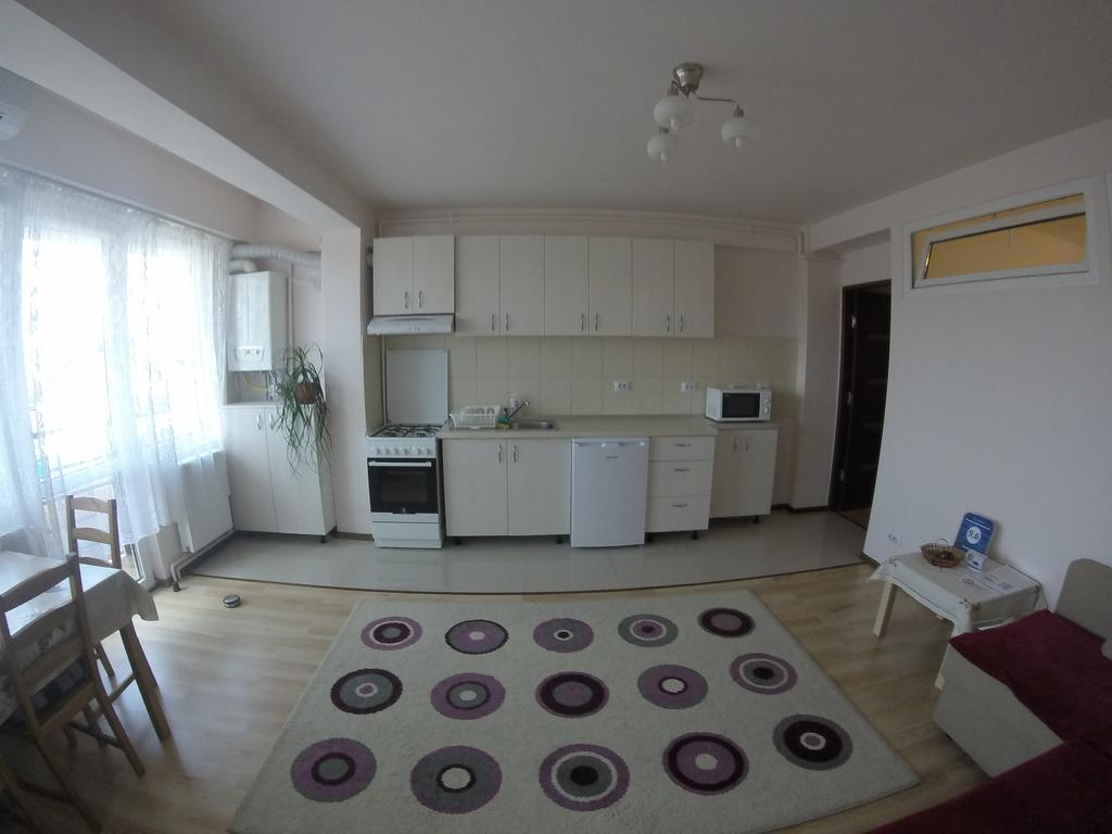 Friendly Central Apartment Sibiu מראה חיצוני תמונה