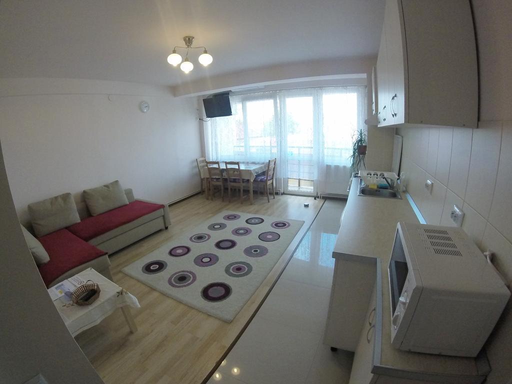 Friendly Central Apartment Sibiu מראה חיצוני תמונה